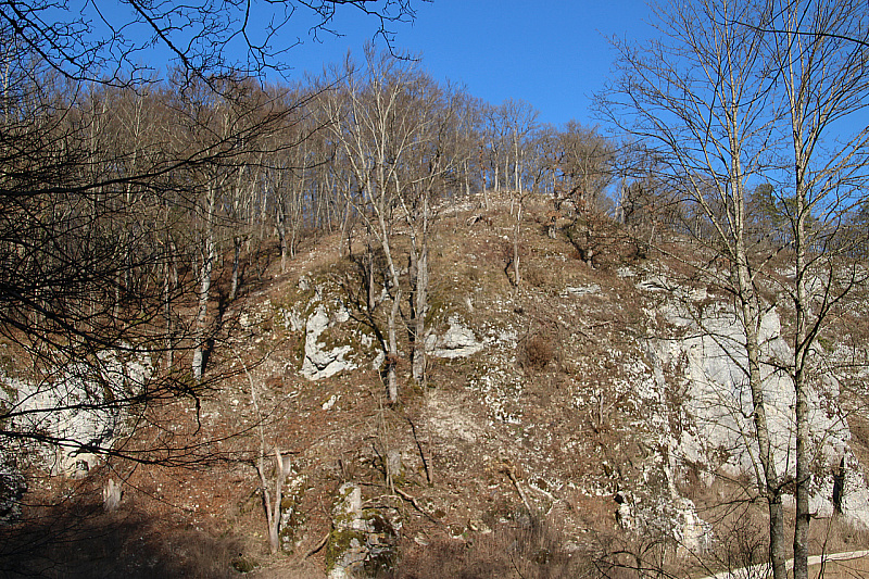 IMG 0806