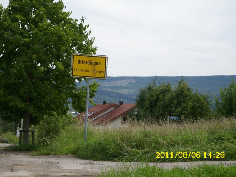 DSCI0797