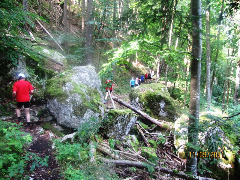 Bild_Thomas (51).JPG