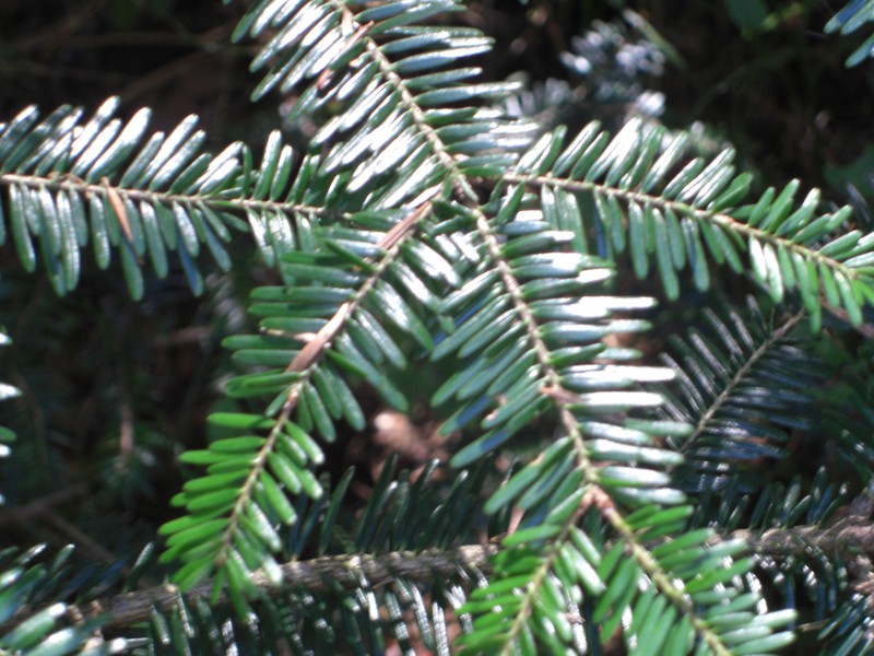CIMG5890.JPG