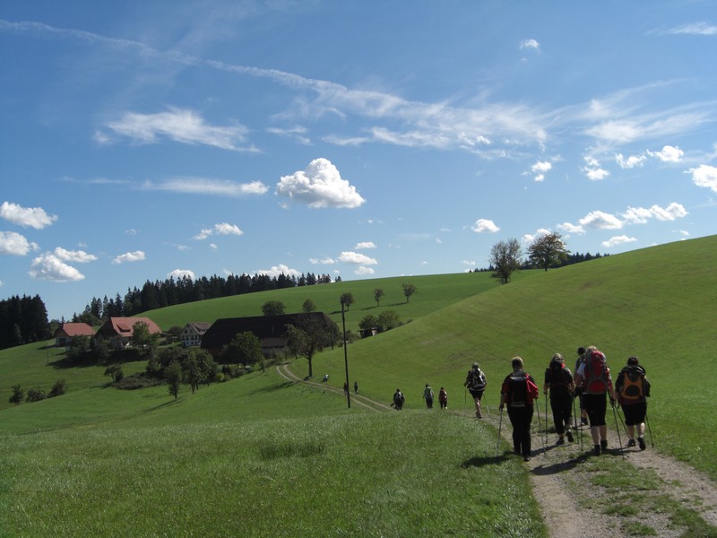 CIMG5920.JPG