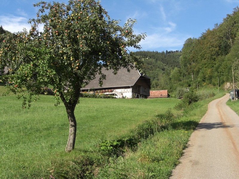 CIMG5959.JPG