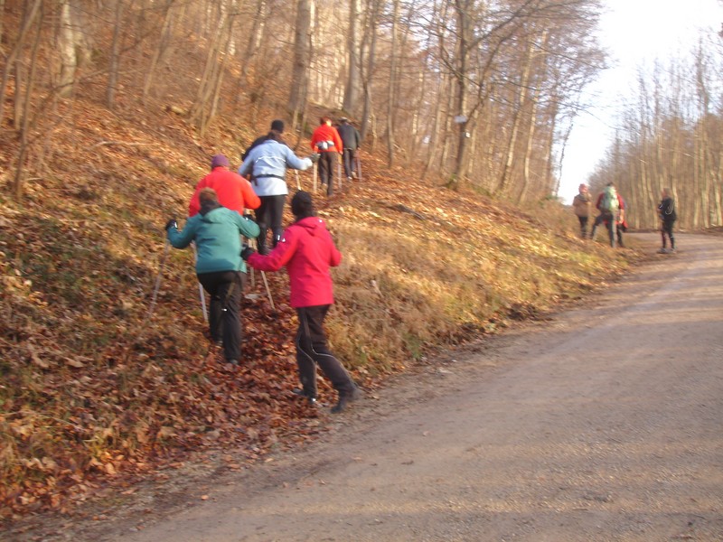 DSC09319.JPG