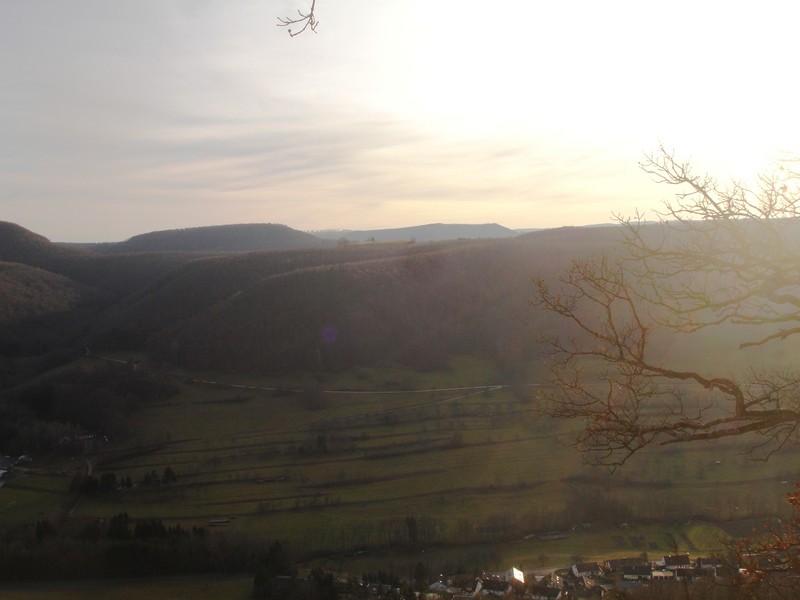 DSC09331.JPG