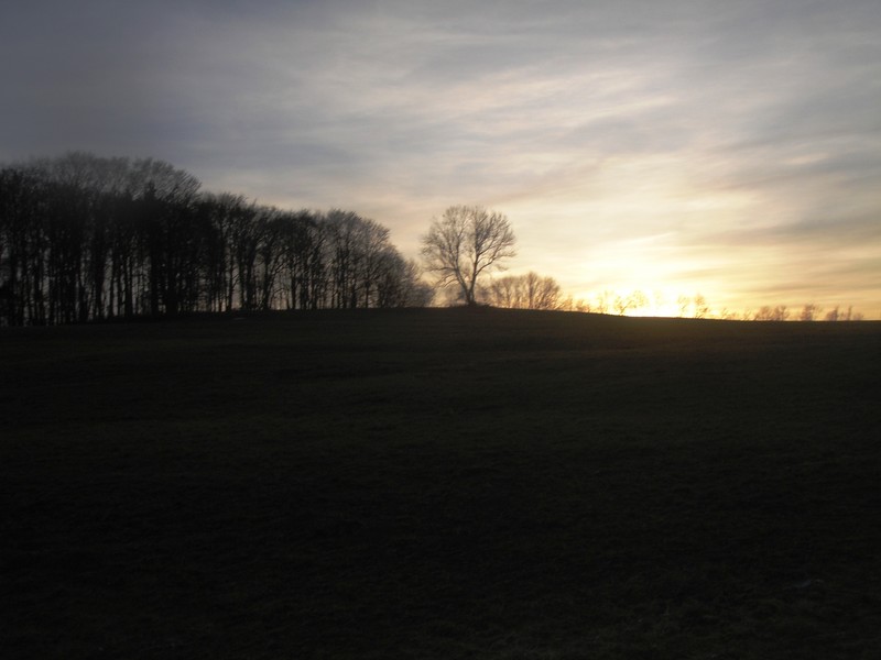 DSC09344.JPG