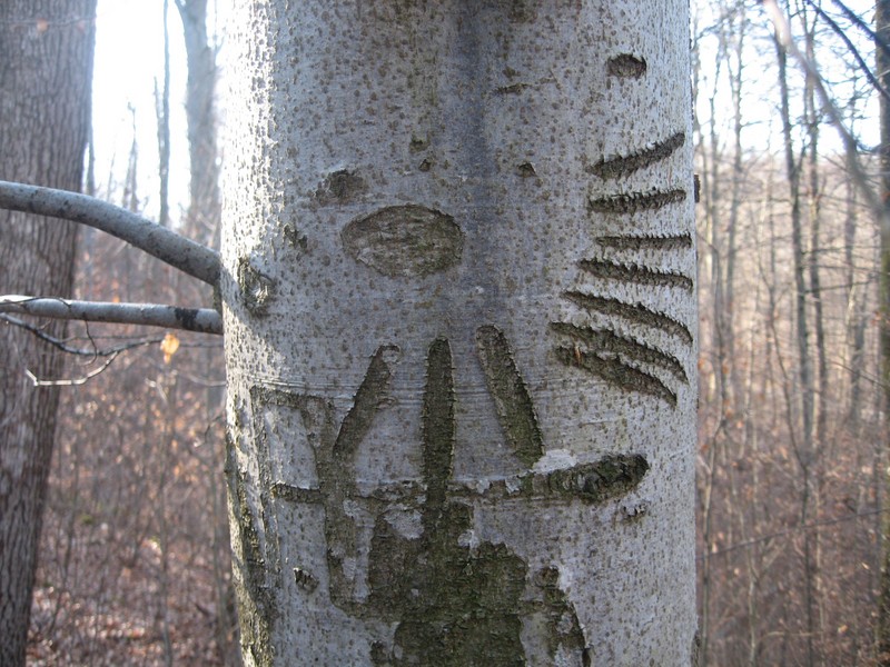 Vorbereitungswalk110302_12