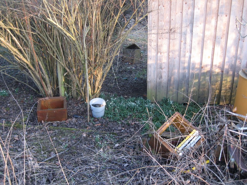 Vorbereitungswalk110302_24