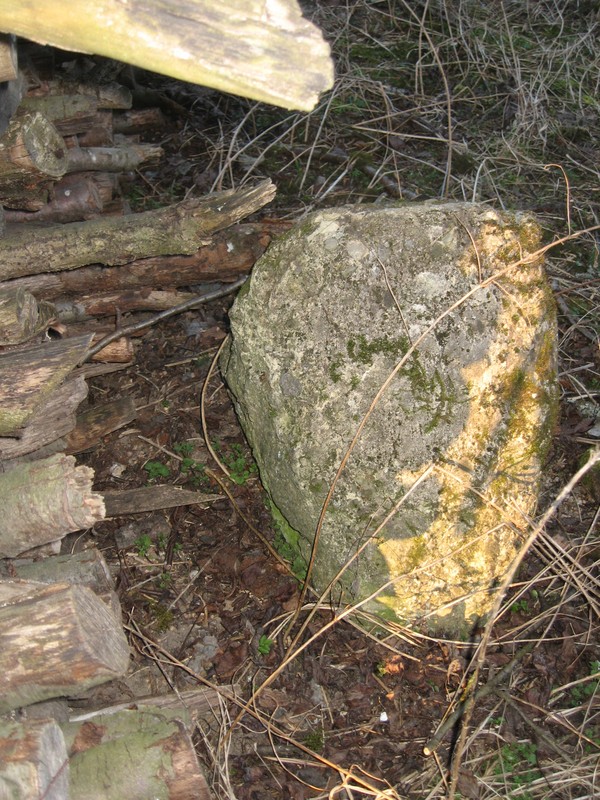 Vorbereitungswalk110302_25