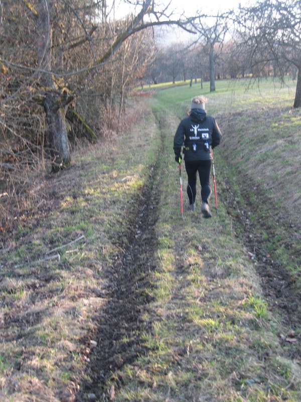 Vorbereitungswalk110302_26