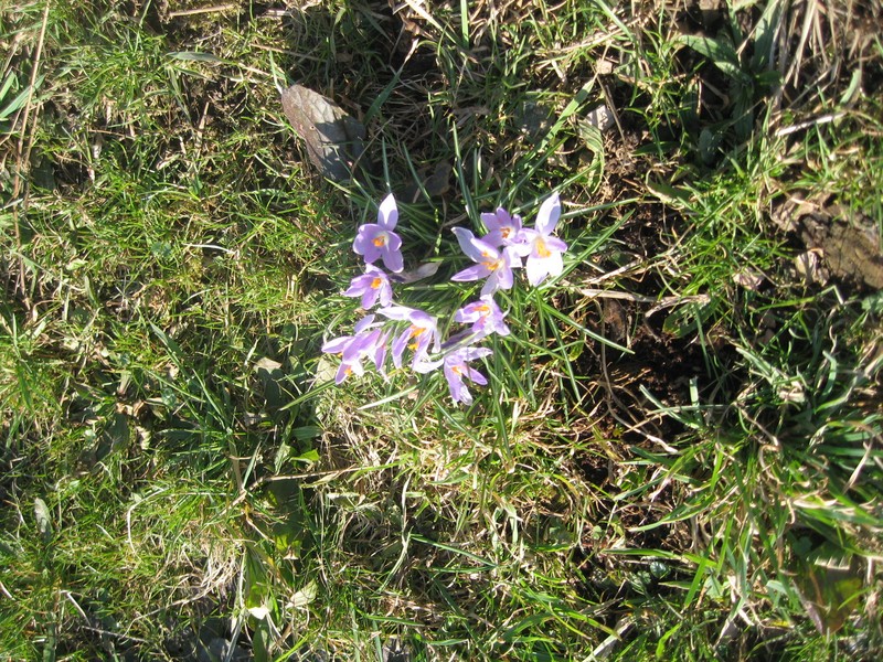 Vorbereitungswalk110302_4