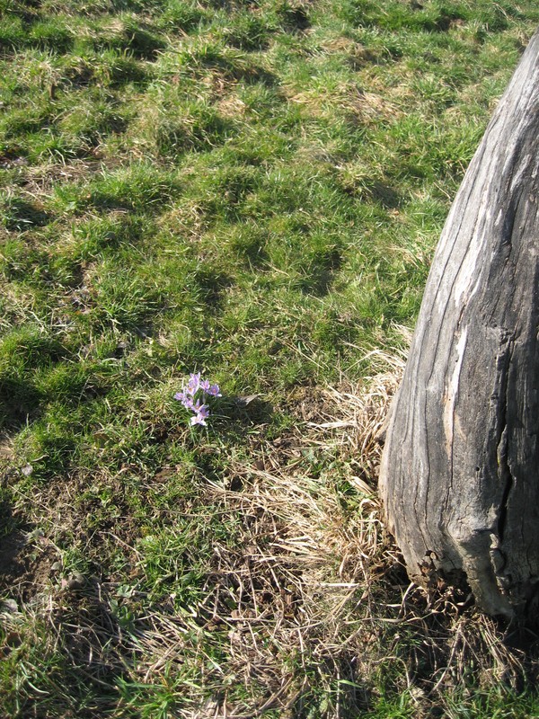 Vorbereitungswalk110302_5