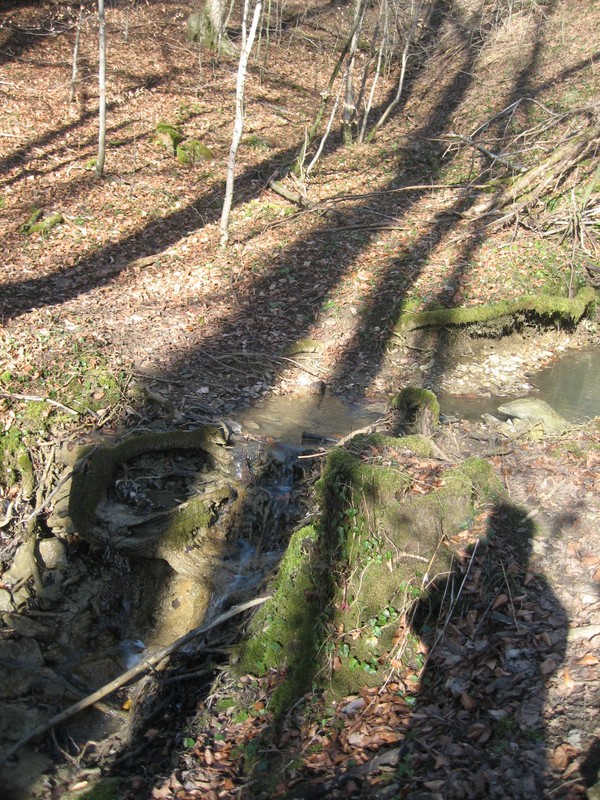 Vorbereitungswalk110302_7