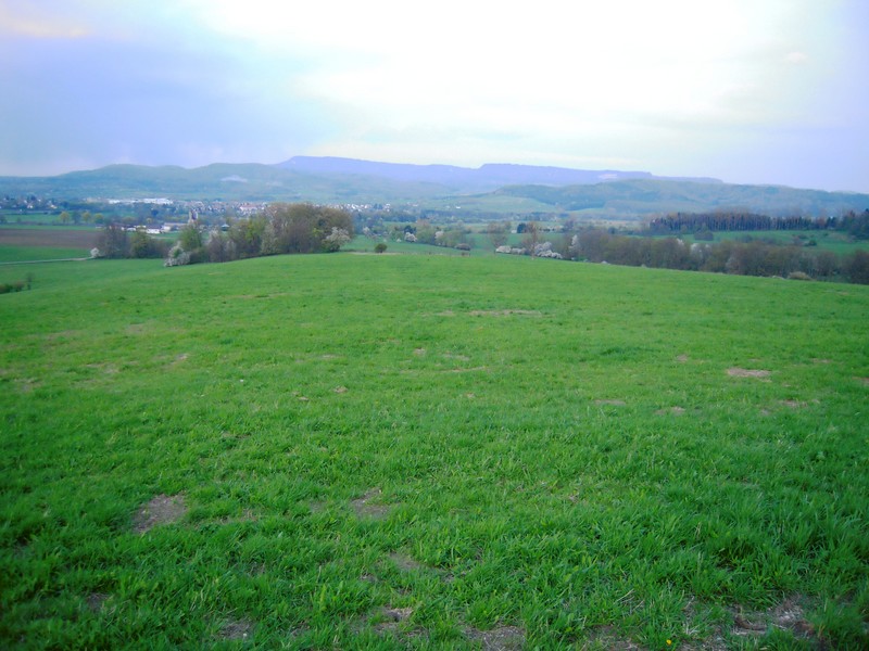 DSCN1664