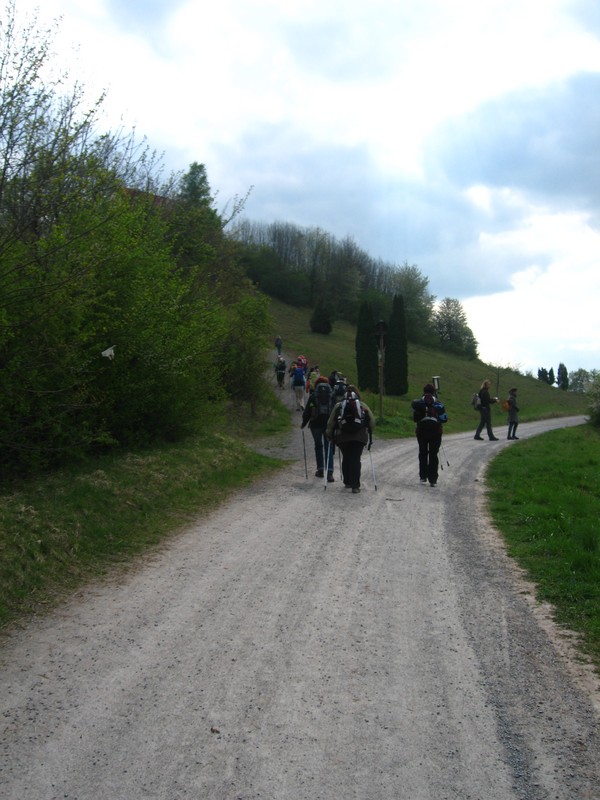 IMG_9345