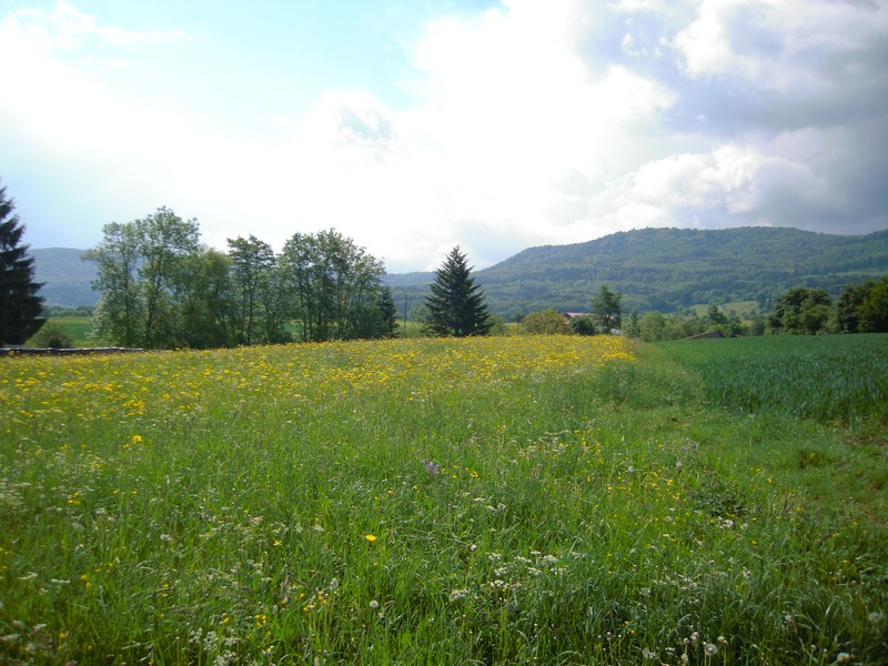 DSCN1794