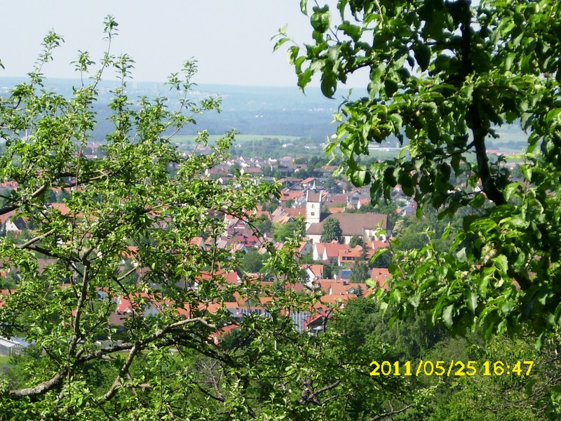 DSCI0738