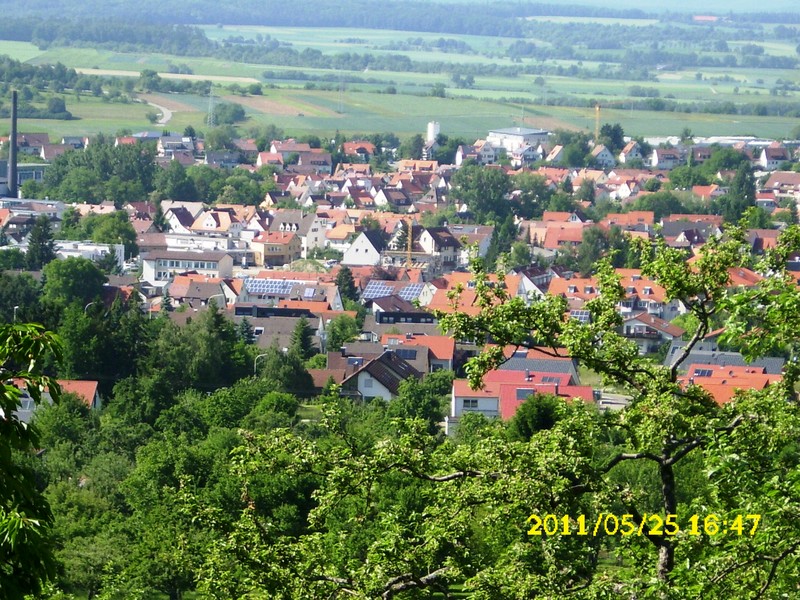 DSCI0739