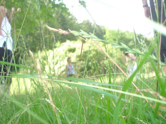 DSC00168