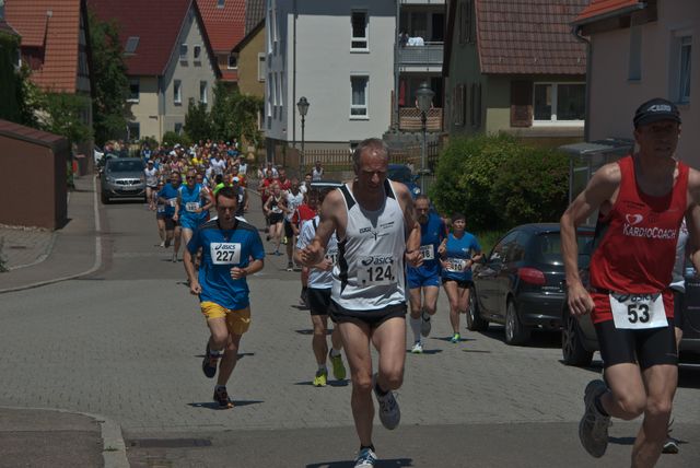 LG-Hannesle-2012-002