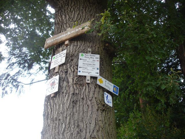 DSC00304