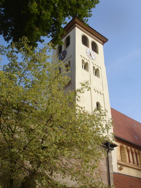 DSC00313