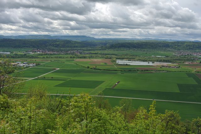 DSC_2014.JPG