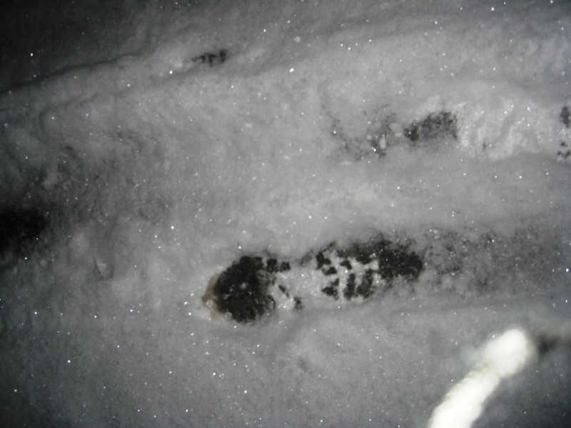 CIMG7551.JPG
