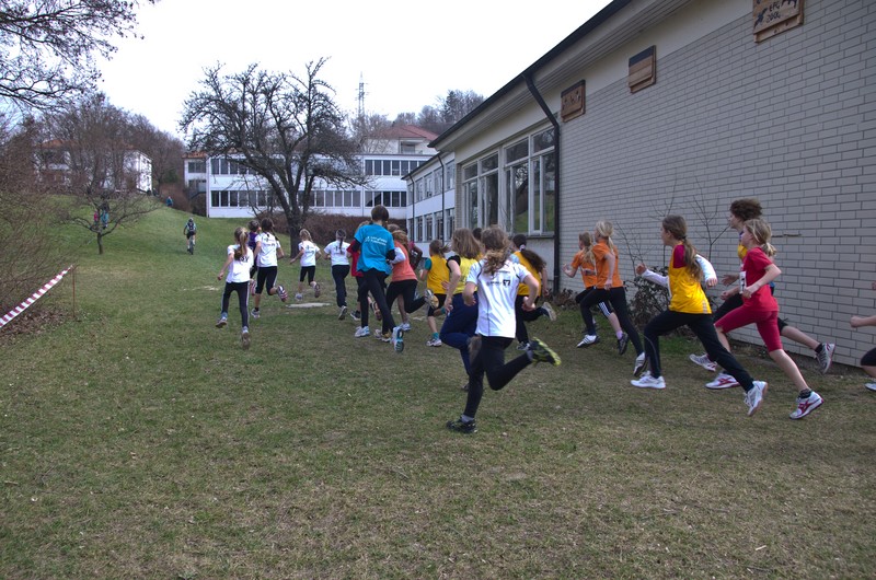 2012-03_0966_IMGP5992_20120318.jpg