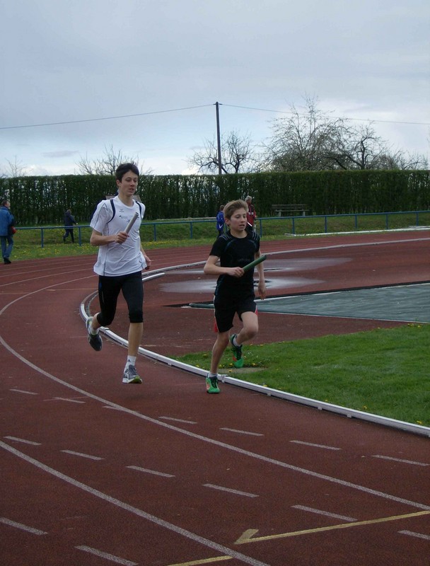 Tobias  Wieck Staffel.jpg