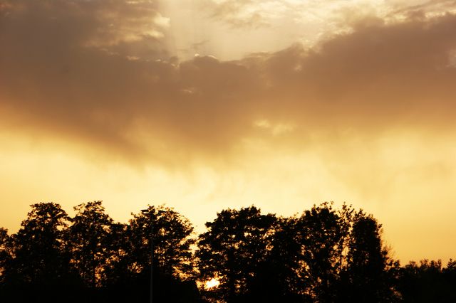 DSC01333.JPG