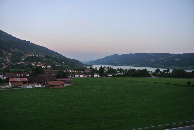 DSC_7271.JPG