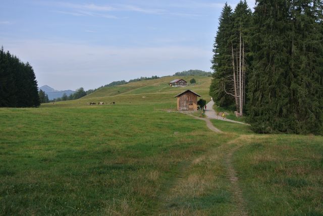 DSC_7307.JPG