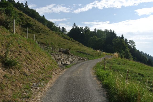 DSC_7317.JPG