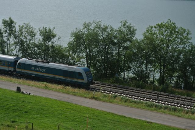 DSC_7333.JPG