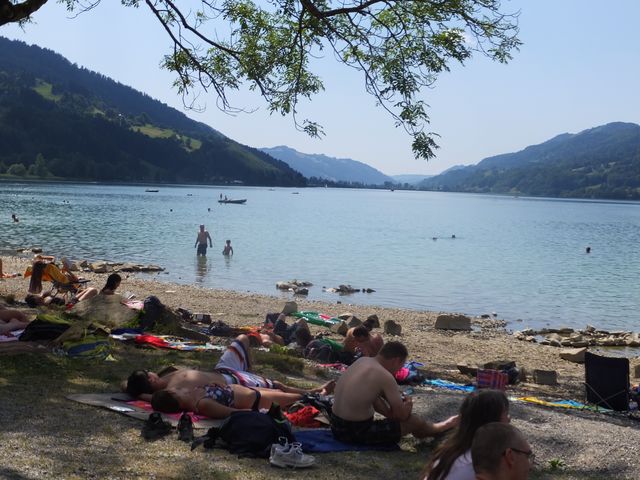 DSCF0520.JPG