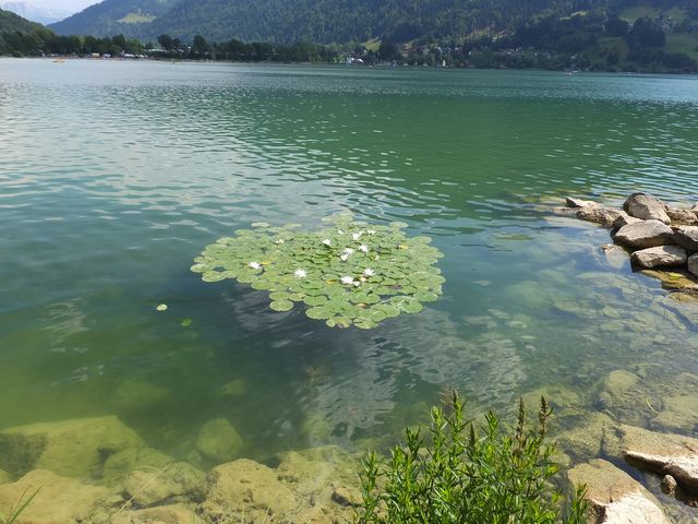 DSCF0523.JPG