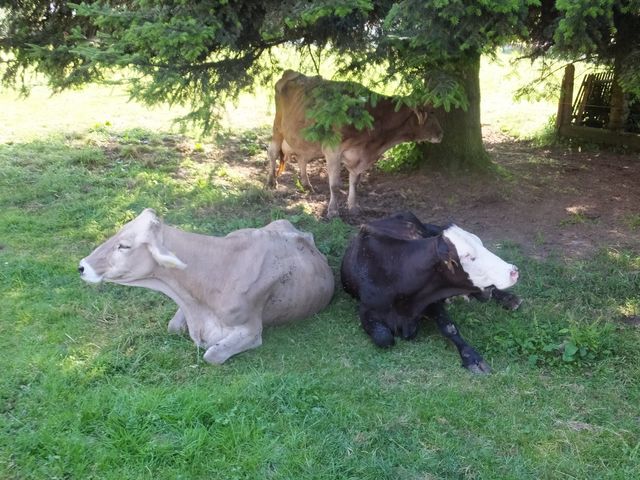 DSCF0573.JPG