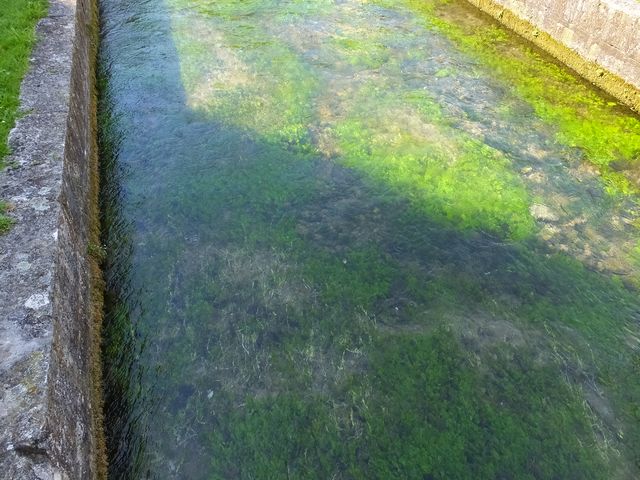 DSCF0882.JPG