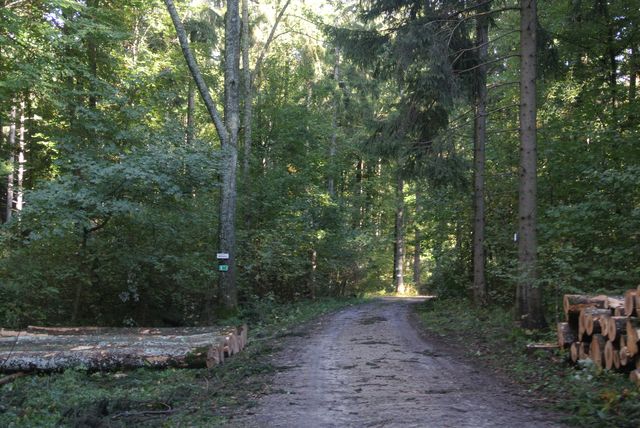 DSC_8164.JPG