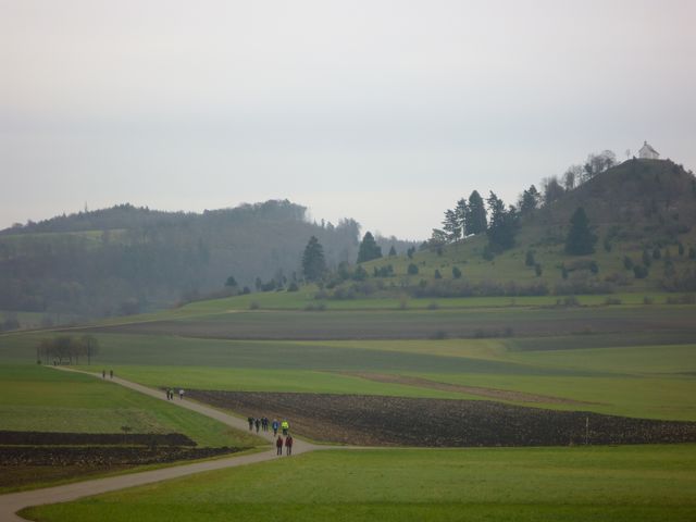 P1090993.JPG