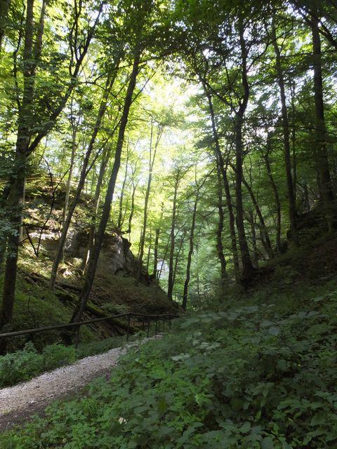 DSCF0787.JPG
