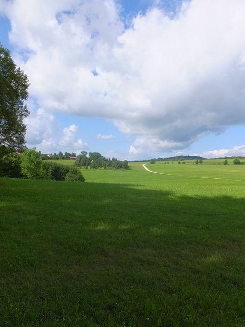 DSCF0801.JPG