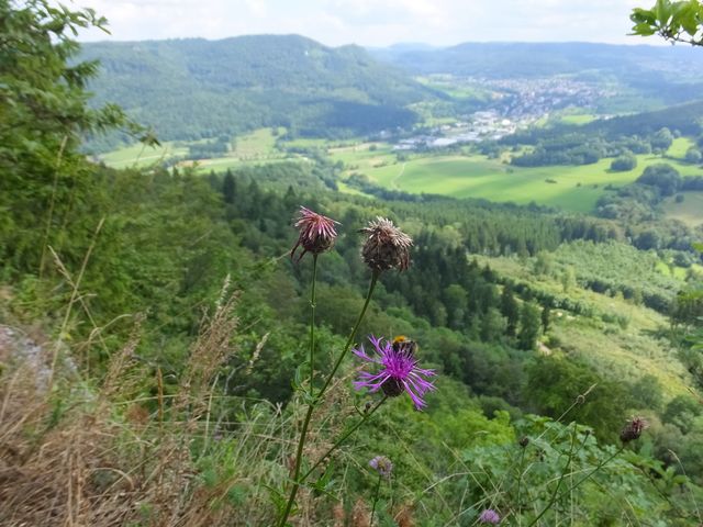 DSCF0831.JPG