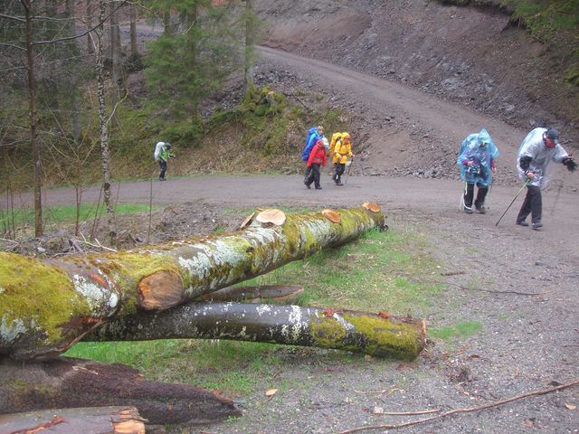 DSC00277.JPG