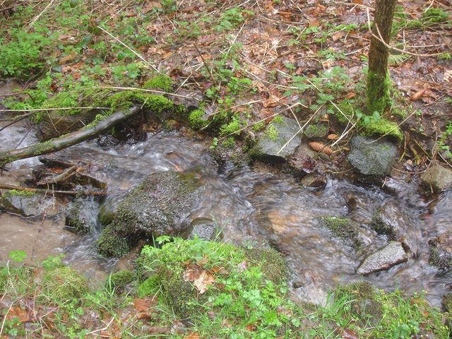 DSC00290.JPG