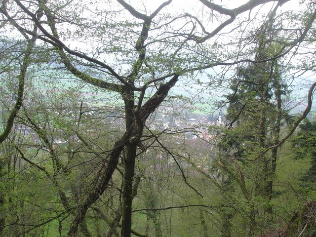 DSC00442.JPG