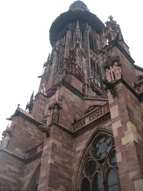 IMG_5146.JPG