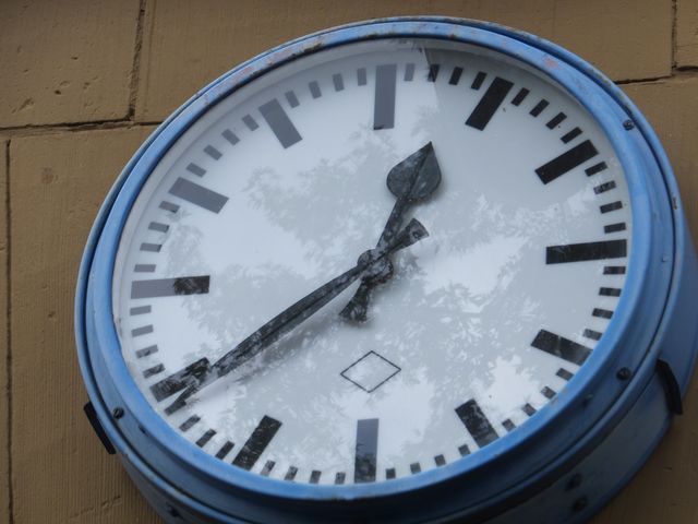 DSCF1529.JPG