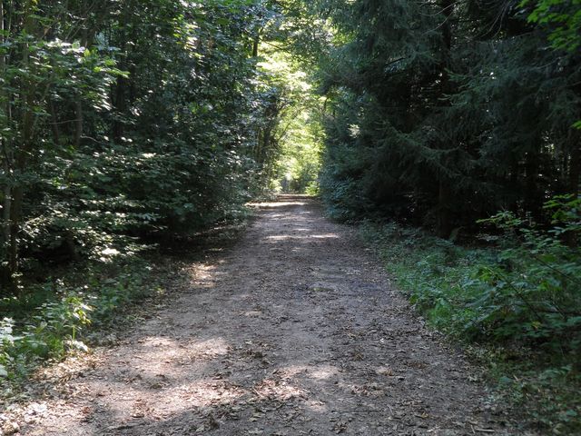 SAM_0690.JPG