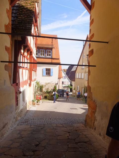 DSCF2337.JPG